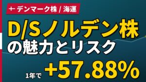 D/Sノルデン株の魅力とリスク｜純利益見通し2度上方修正と日本からの買い方【2026年】